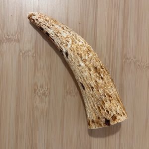 Cow Marrow Horn