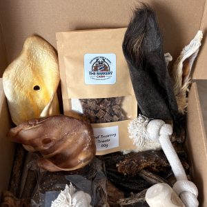 Toy & Treat Box